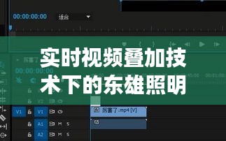 实时视频叠加技术下的东雄照明价格深度解析