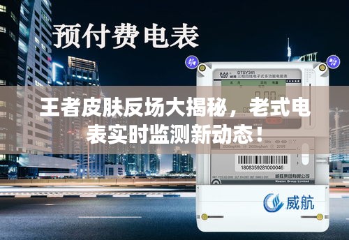 王者皮肤反场大揭秘,老式电表实时监测新动态!