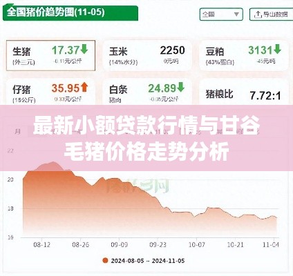 最新小额贷款行情与甘谷毛猪价格走势分析