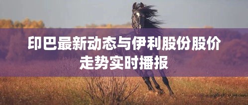 印巴最新动态与伊利股份股价走势实时播报