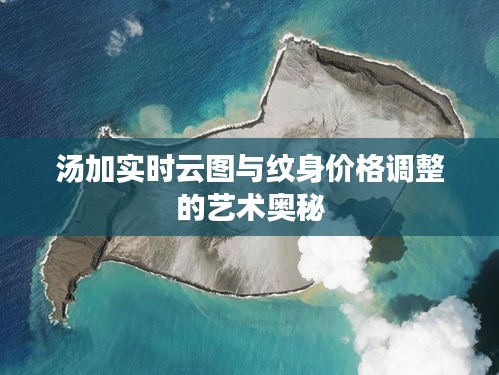 汤加实时云图与纹身价格调整的艺术奥秘