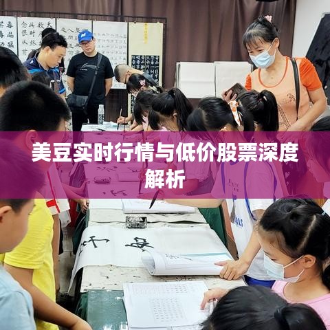 美豆实时行情与低价股票深度解析