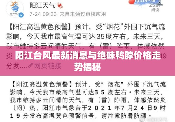 阳江台风最新消息与绝味鸭脖价格走势揭秘