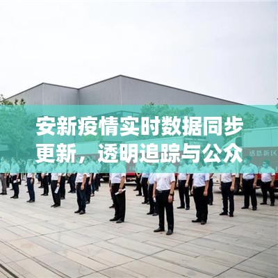 安新疫情实时数据同步更新,透明追踪与公众信息共享