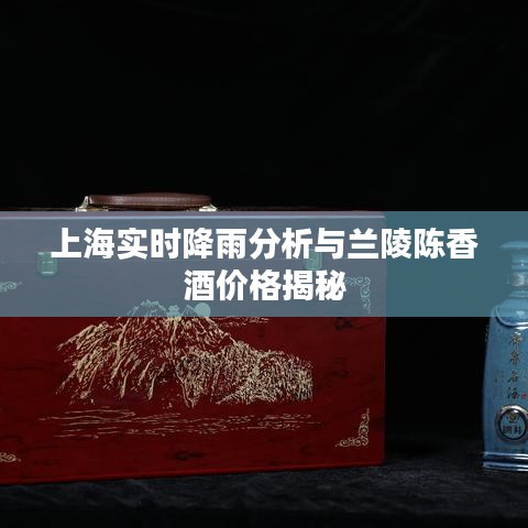 上海实时降雨分析与兰陵陈香酒价格揭秘