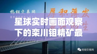 星球实时画面观察下的栾川钼精矿最新价格动态揭秘