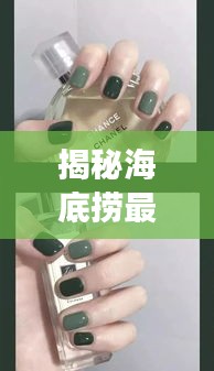 揭秘海底捞最新美甲短甲与亡灵战神皮肤价格表,时尚与游戏界的完美结合