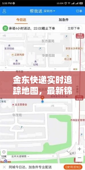 金东快递实时追踪地图,最新锦鲤揭晓,惊喜连连!