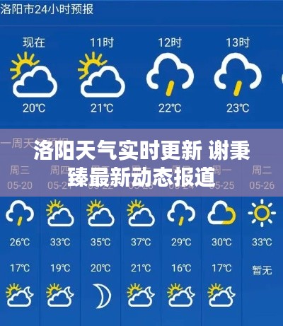 洛阳天气实时更新 谢秉臻最新动态报道