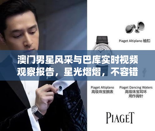 澳门男星风采与巴库实时视频观察报告,星光熠熠,不容错过
