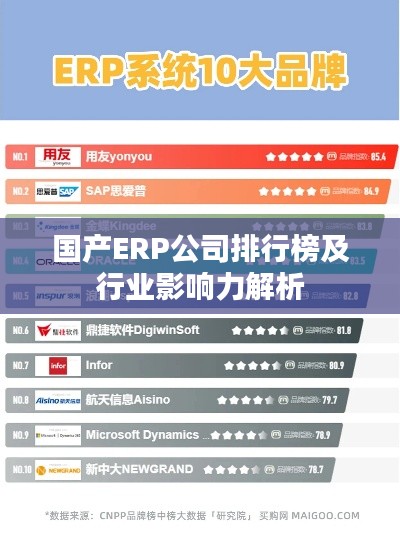 国产ERP公司排行榜及行业影响力解析