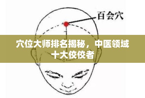 穴位大师排名揭秘,中医领域十大佼佼者