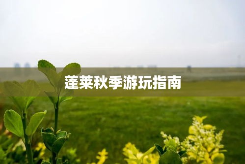 蓬莱秋季游玩指南