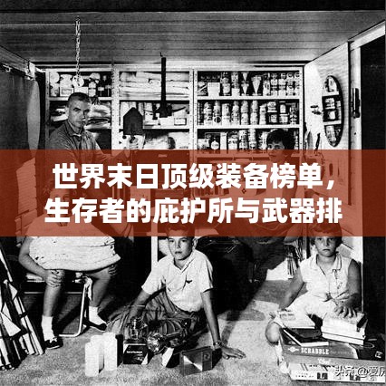 世界末日顶级装备榜单,生存者的庇护所与武器排名