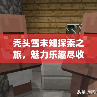 秃头雪未知探索之旅,魅力乐趣尽收眼底,最新视频在线观看