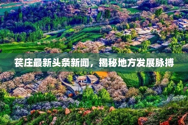 苌庄最新头条新闻,揭秘地方发展脉搏