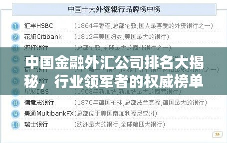中国金融外汇公司排名大揭秘,行业领军者的权威榜单!