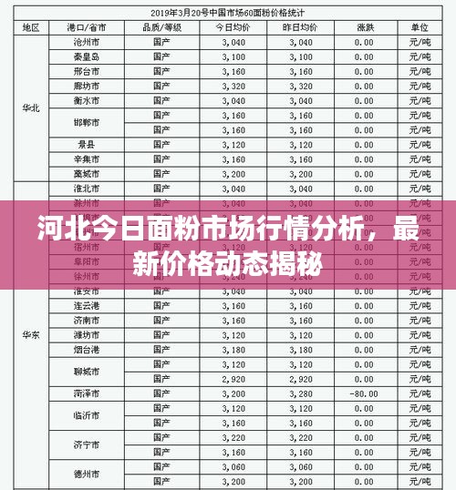 河北今日面粉市场行情分析,最新价格动态揭秘