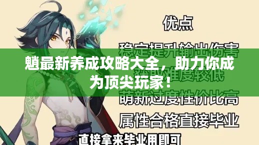 魈最新养成攻略大全,助力你成为顶尖玩家!