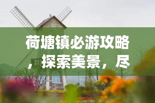 帮助中心 第58页