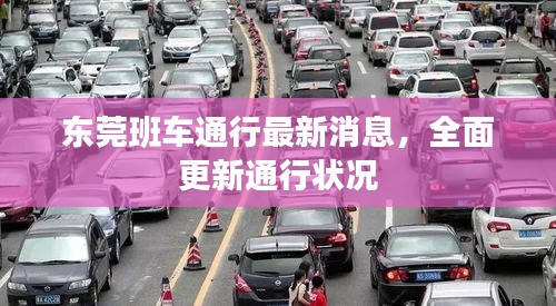 东莞班车通行最新消息,全面更新通行状况