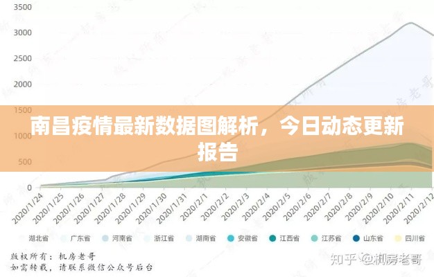 南昌疫情最新数据图解析,今日动态更新报告