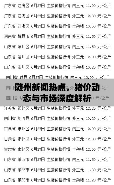 随州新闻热点,猪价动态与市场深度解析
