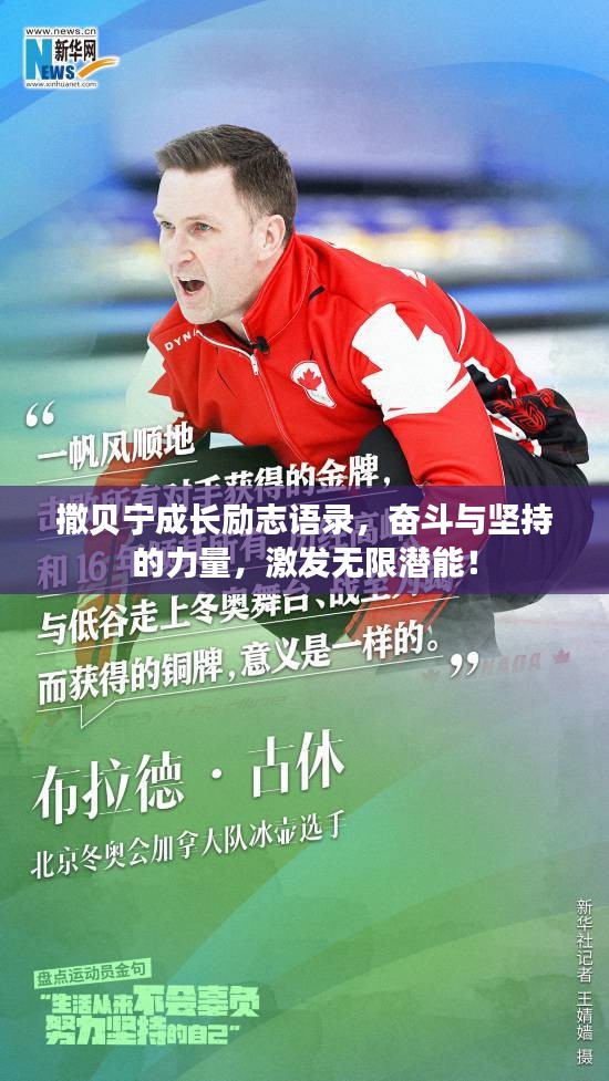 撒贝宁成长励志语录,奋斗与坚持的力量,激发无限潜能!