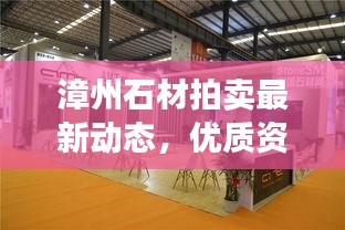 漳州石材拍卖最新动态,优质资源汇聚,引领行业风向标