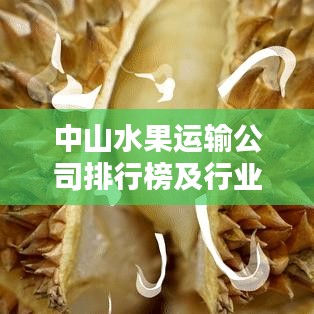 中山水果运输公司排行榜及行业影响力解析