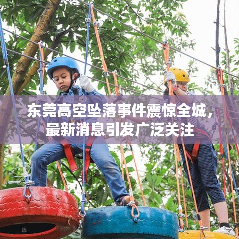 东莞高空坠落事件震惊全城,最新消息引发广泛关注