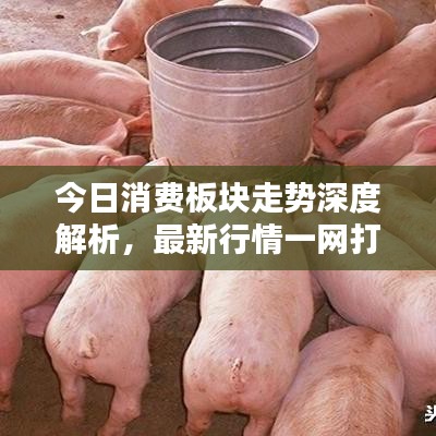 今日消费板块走势深度解析,最新行情一网打尽!