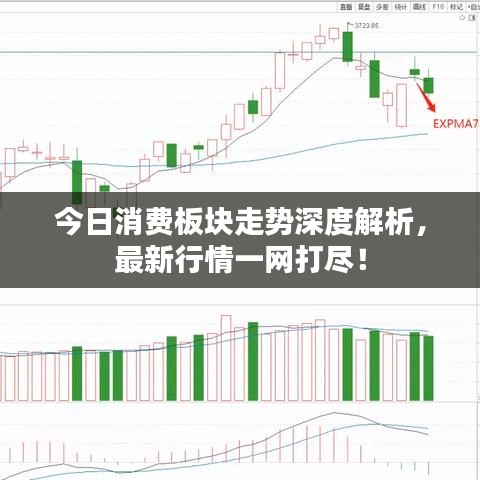 今日消费板块走势深度解析,最新行情一网打尽!