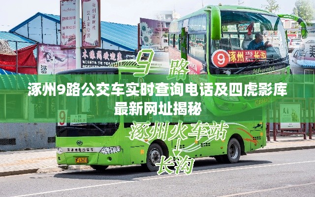 涿州9路公交车实时查询电话及四虎影库最新网址揭秘