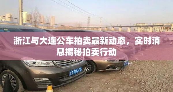 浙江与大连公车拍卖最新动态,实时消息揭秘拍卖行动