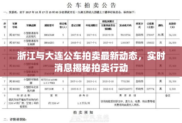 浙江与大连公车拍卖最新动态,实时消息揭秘拍卖行动