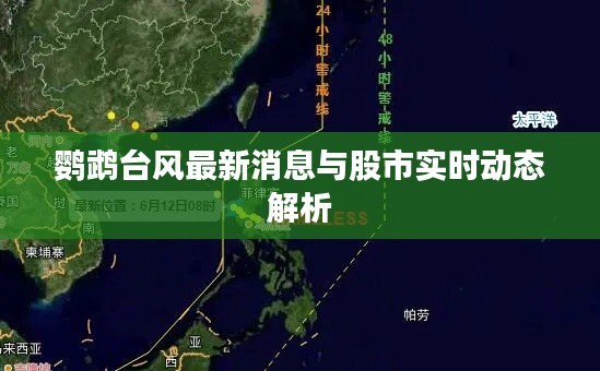 鹦鹉台风最新消息与股市实时动态解析