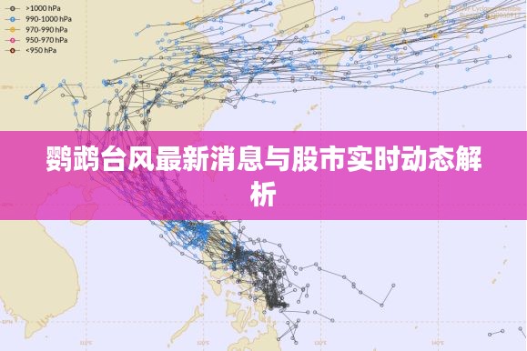 鹦鹉台风最新消息与股市实时动态解析