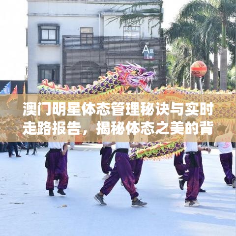 澳门明星体态管理秘诀与实时走路报告,揭秘体态之美的背后故事