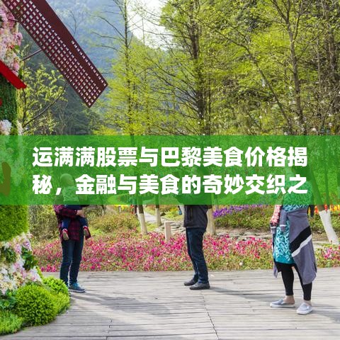 运满满股票与巴黎美食价格揭秘,金融与美食的奇妙交织之旅