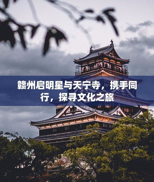 赣州启明星与天宁寺,携手同行,探寻文化之旅