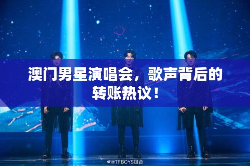 澳门男星演唱会,歌声背后的转账热议!