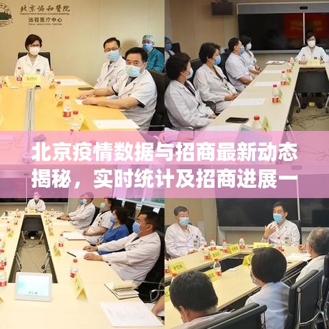 北京疫情数据与招商最新动态揭秘,实时统计及招商进展一览