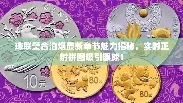 珠联璧合泊烟最新章节魅力揭秘,实时正射拼图吸引眼球!