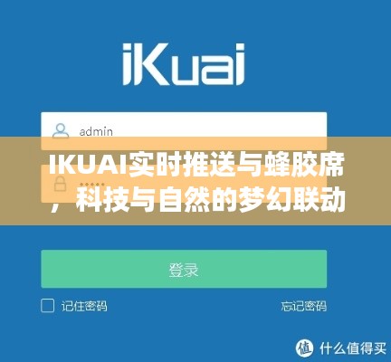 IKUAI实时推送与蜂胶席,科技与自然的梦幻联动,价格揭秘!