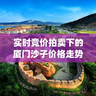 实时竞价拍卖下的厦门沙子价格走势分析