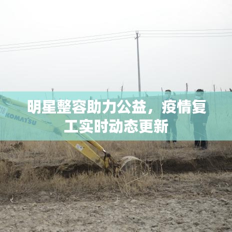 明星整容助力公益,疫情复工实时动态更新