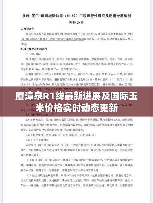 厦漳泉R1线最新进展及国际玉米价格实时动态更新