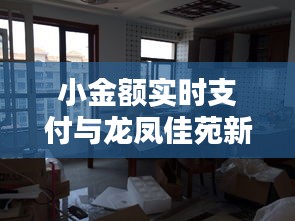 小金额实时支付与龙凤佳苑新动态,抢先看,精彩不容错过!