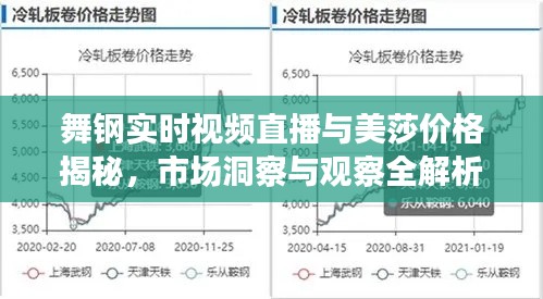 舞钢实时视频直播与美莎价格揭秘,市场洞察与观察全解析